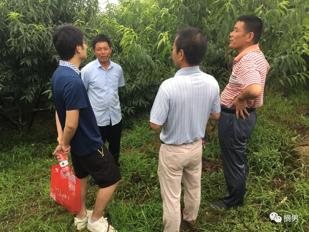 如何栽植富硒水果