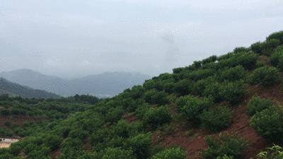 如何栽植富硒水果