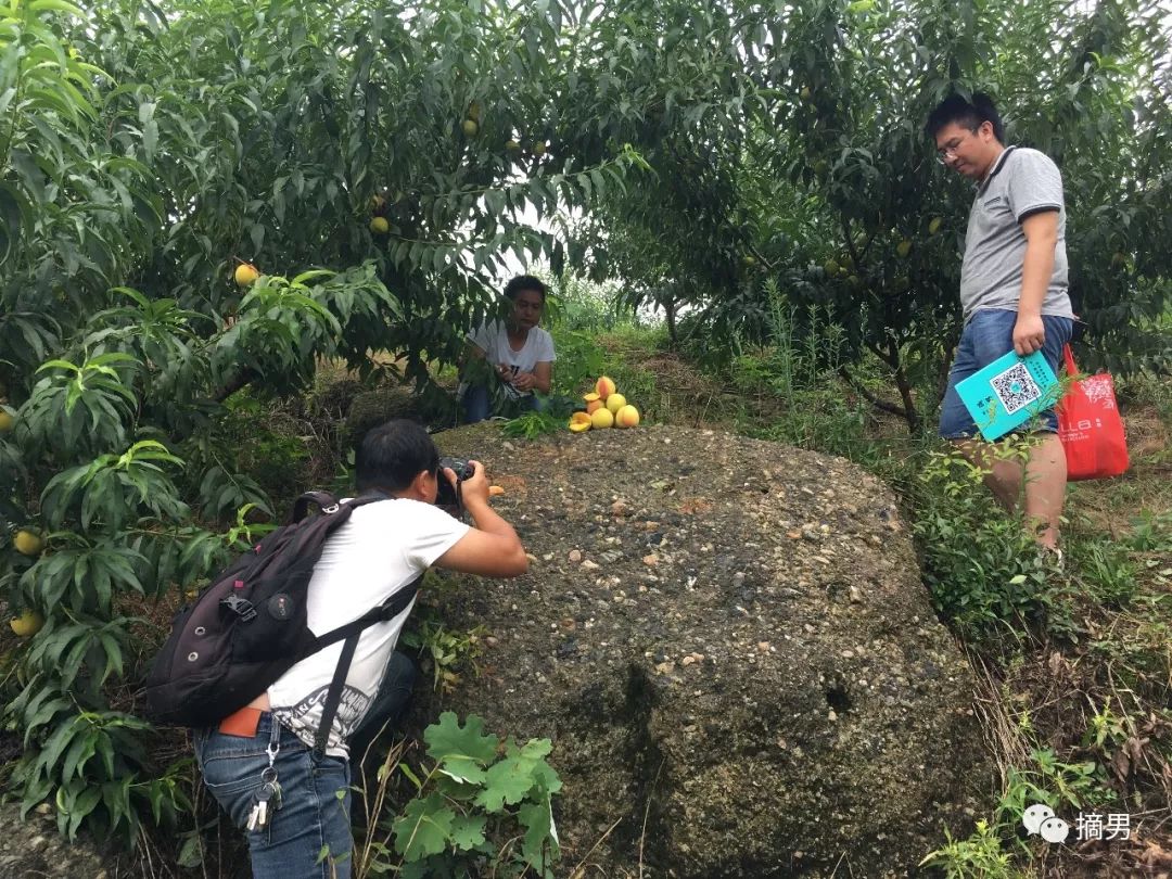 如何栽植富硒水果