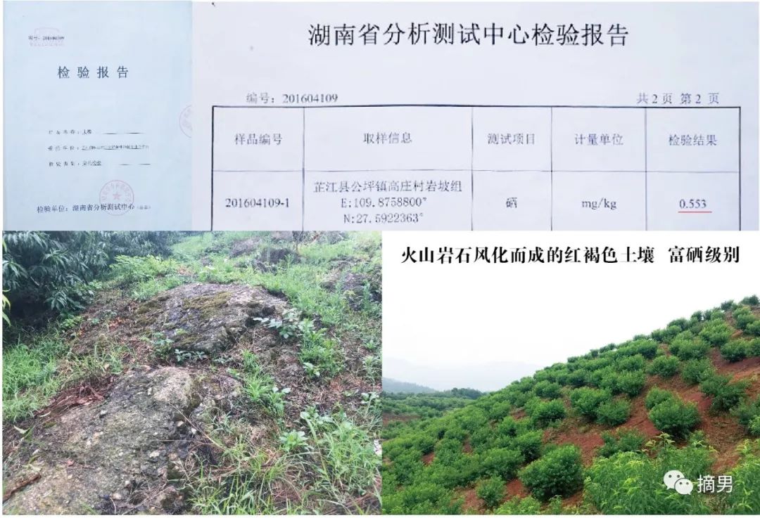 如何栽植富硒水果