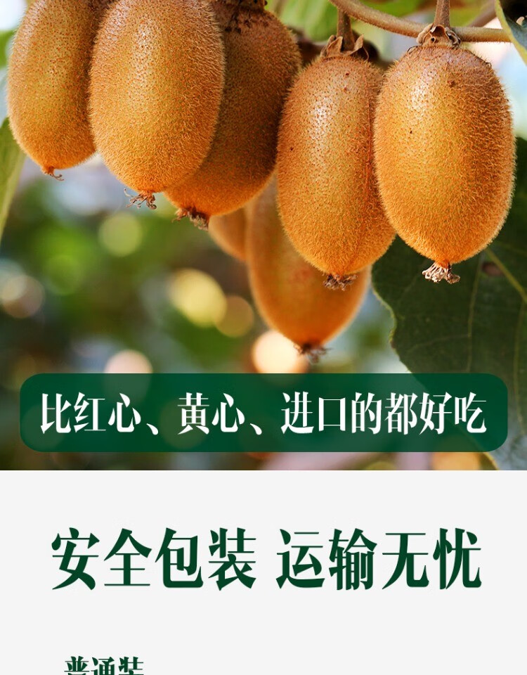 陕西富硒水果出口