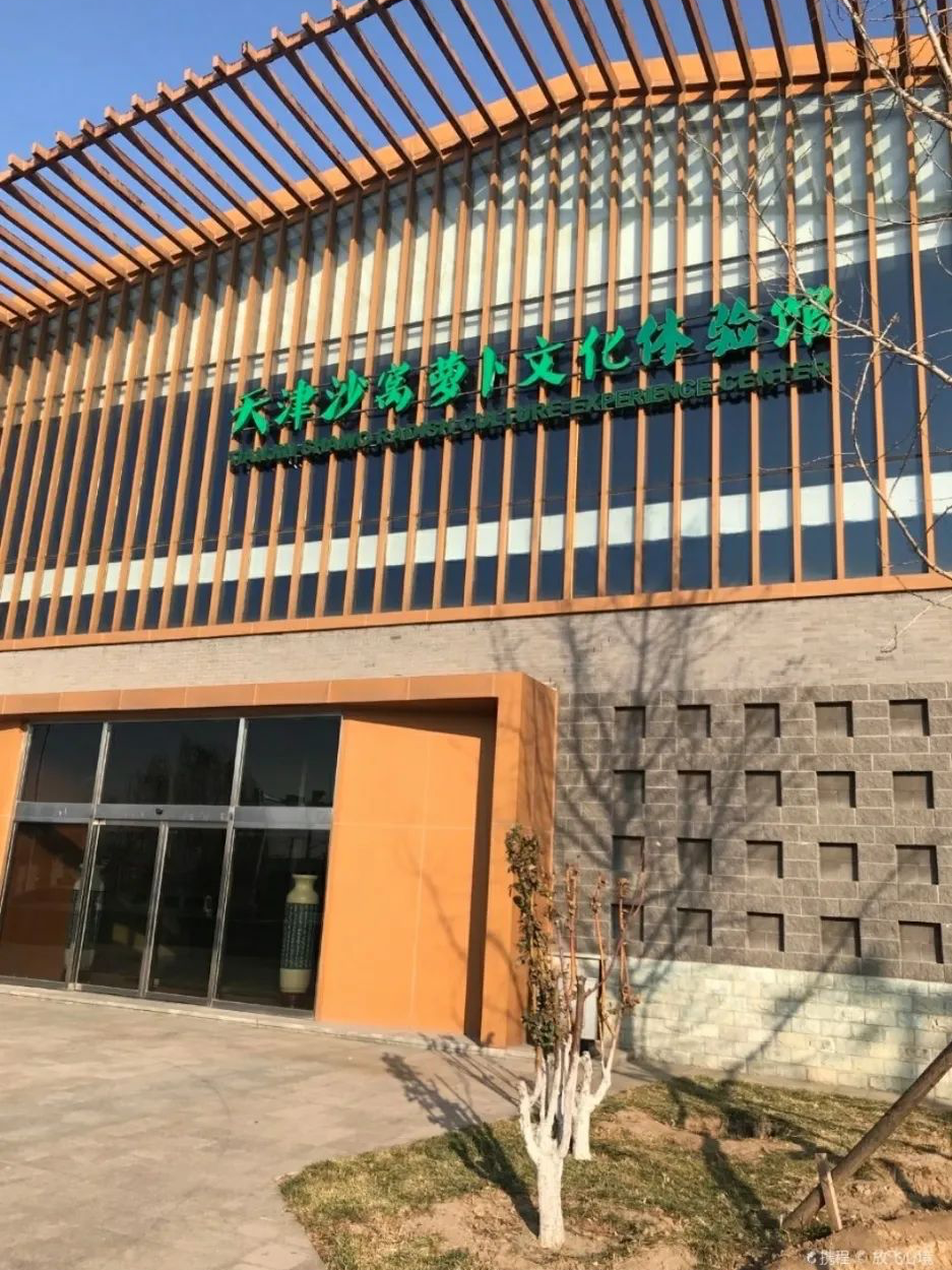 富硒正宗水果萝卜