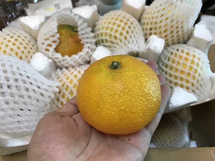 啥水果是富硒果子