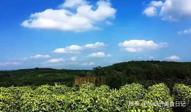 哪些水果是富硒果