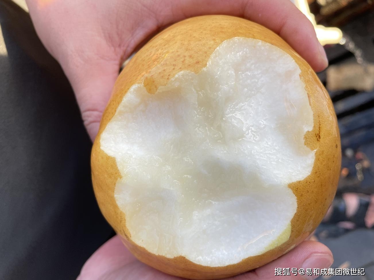沂蒙富硒金梨水果