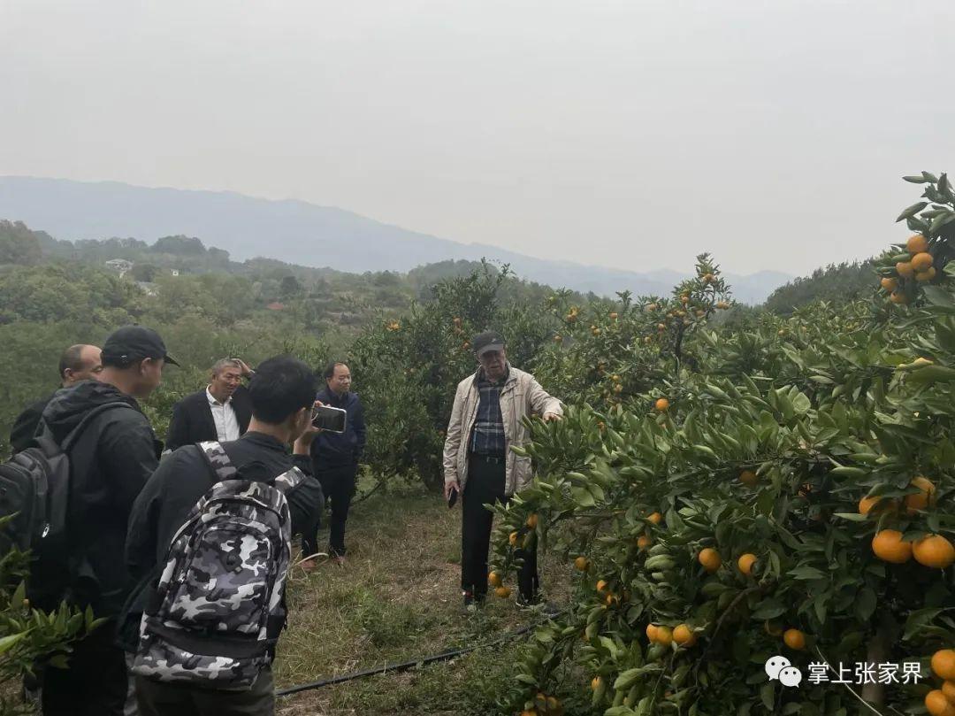 富硒水果生产厂家