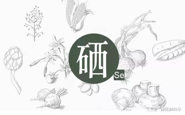 纯植物活性硒产品