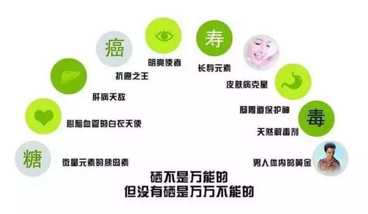 什么硒产品含量高