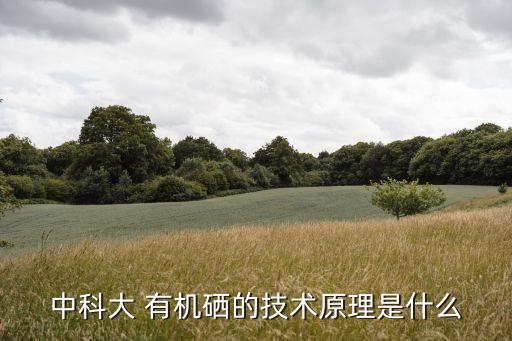 中科大 有机硒的技术原理是什么