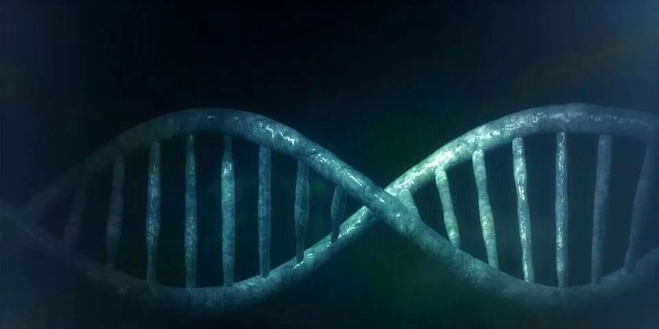硒产品的几个阶段