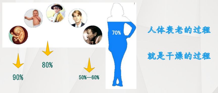 量子硒产品有哪些