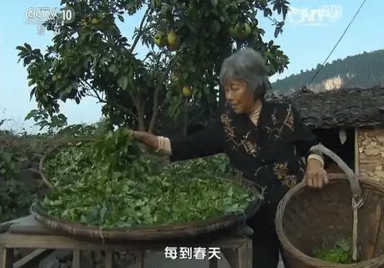 硒茶产品营销推送