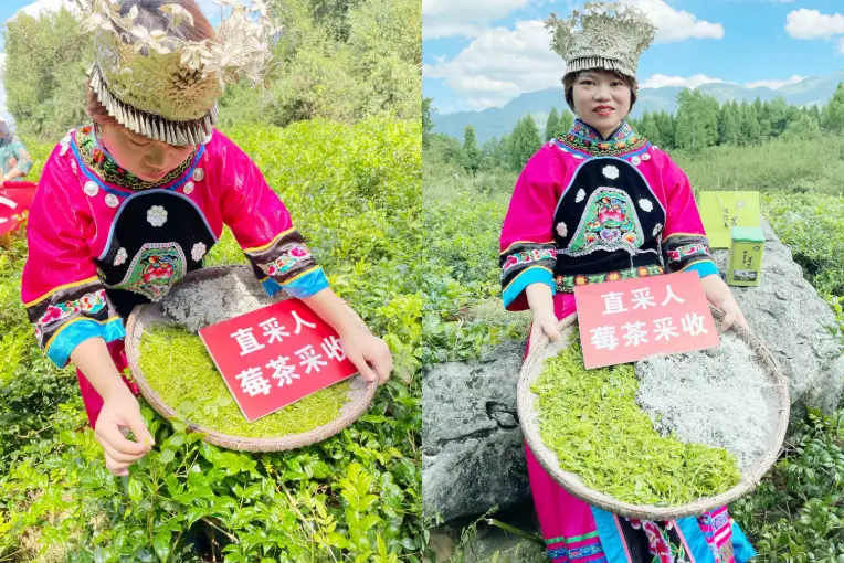 硒茶产品营销推送