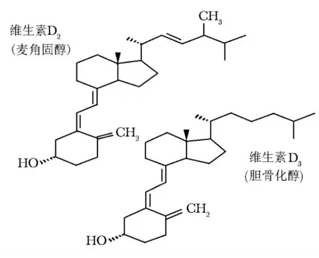 女性吃什么钙片补钙效果好