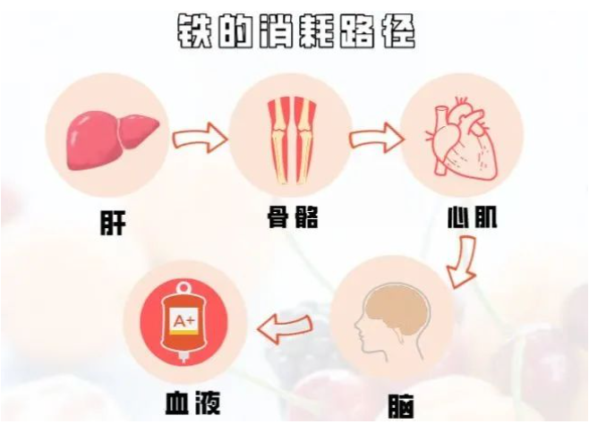 微量元素铁