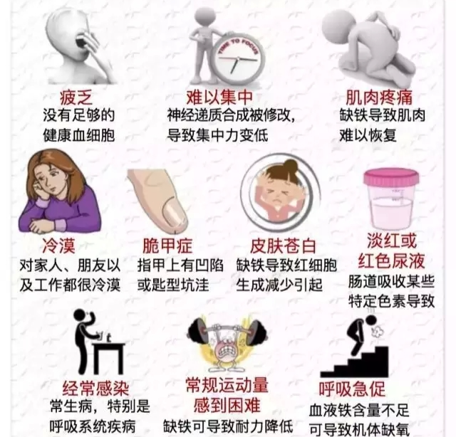微量元素铁