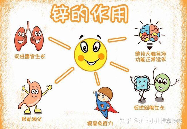 微量元素锌偏高是什么原因