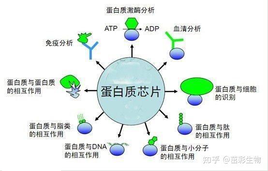 硒产品检测的方式