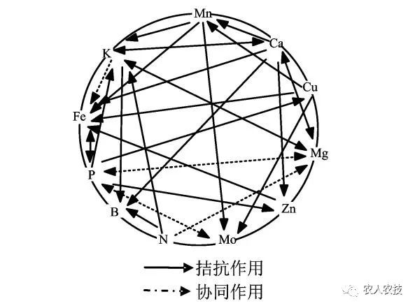 钙是微量元素吗