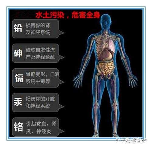 人体必须的微量元素