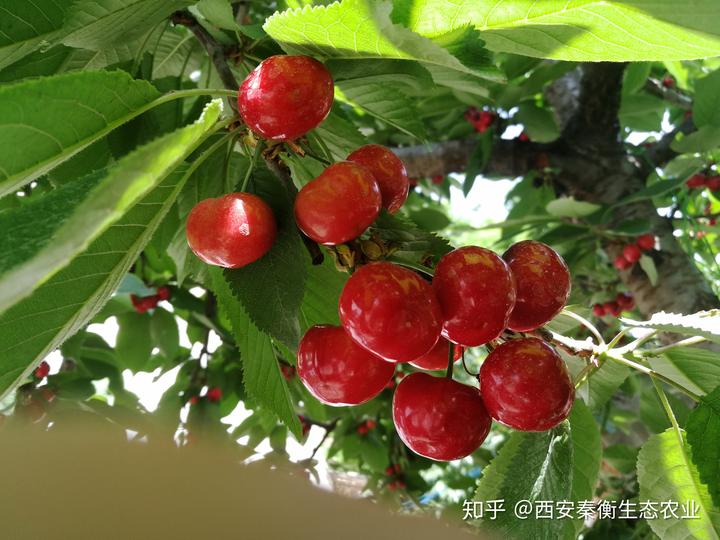 土壤微量元素