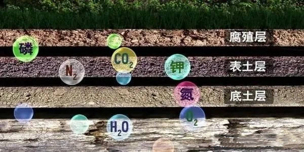 微量元素检测