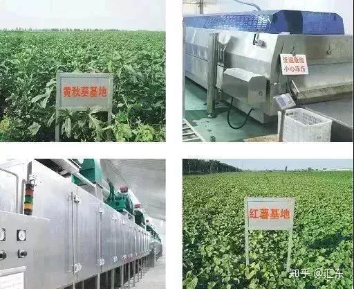 中农硒源系列产品