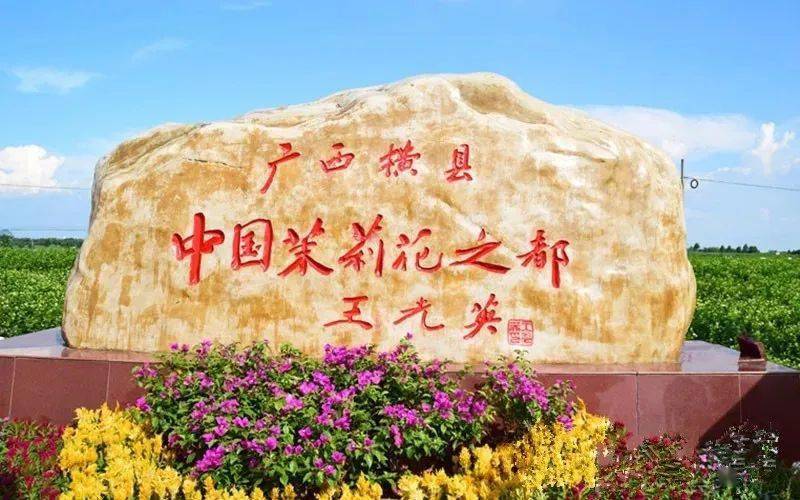 柳州有机硒农产品