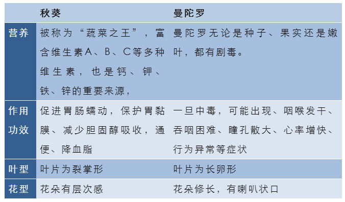 微量元素的作用和功能