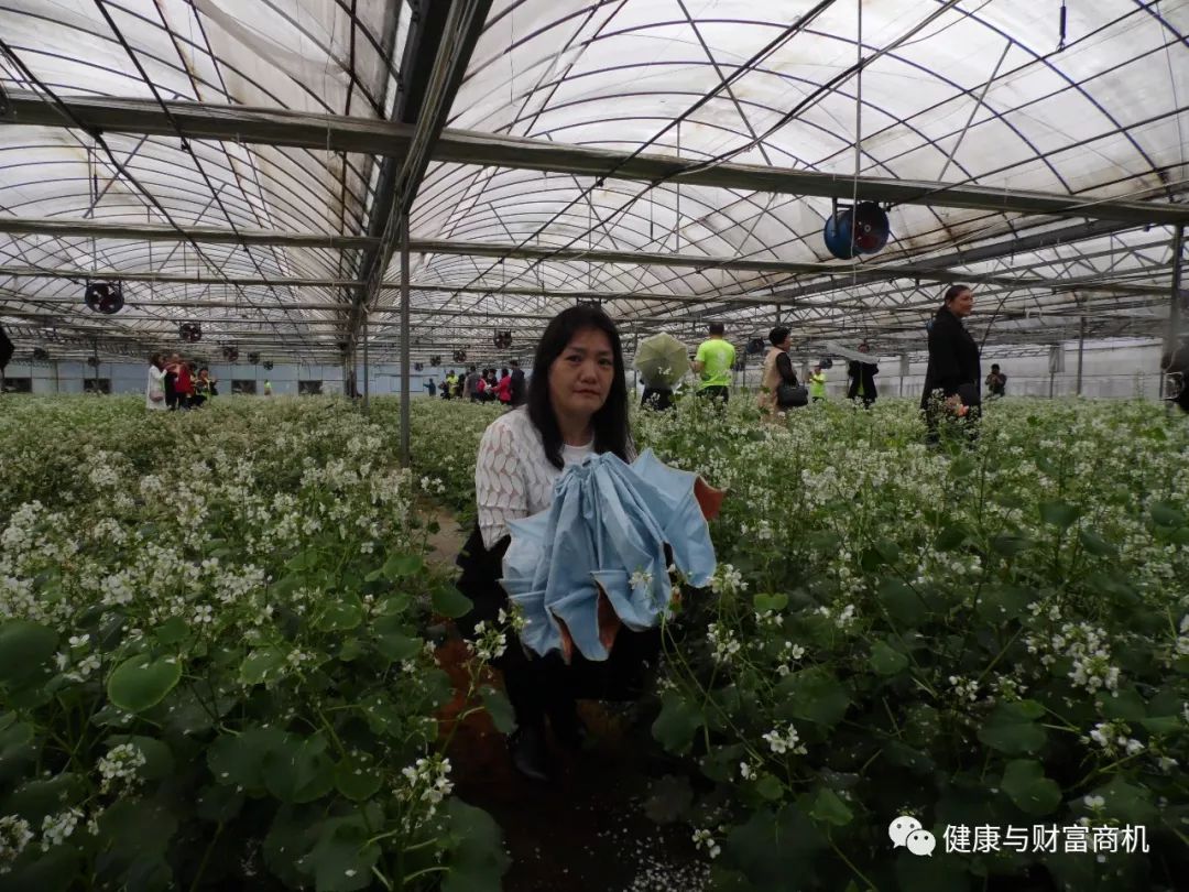 硒产品是弱减性吗