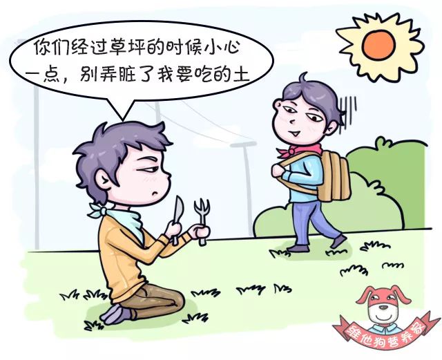 补钙的药品有哪些