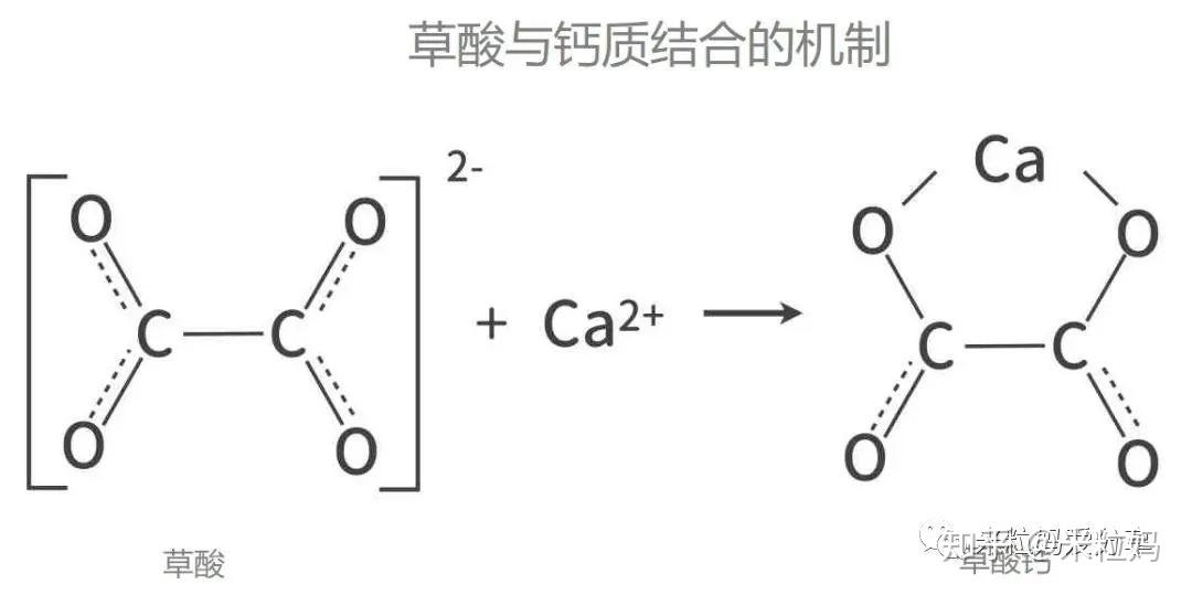 孕妇要补钙吗