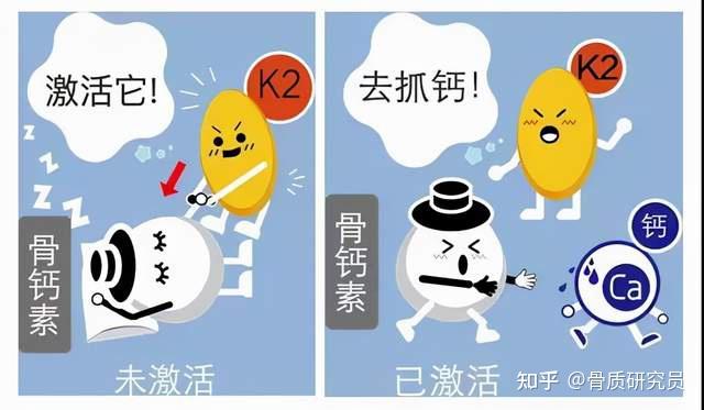 骨质疏松补钙有用吗