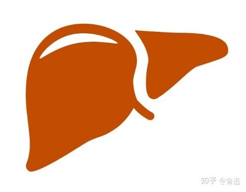硒维康可以护肝吗