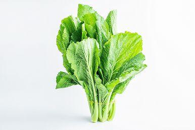 宝宝补铁的食物有哪些