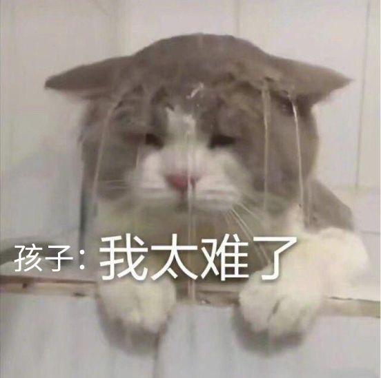 宝宝补铁的食物有哪些