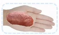 宝宝补铁的食物有哪些