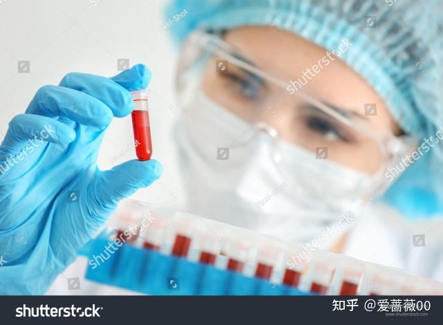 补血补铁的食物有哪些