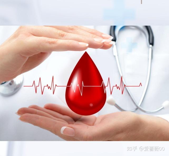 补血补铁的食物有哪些