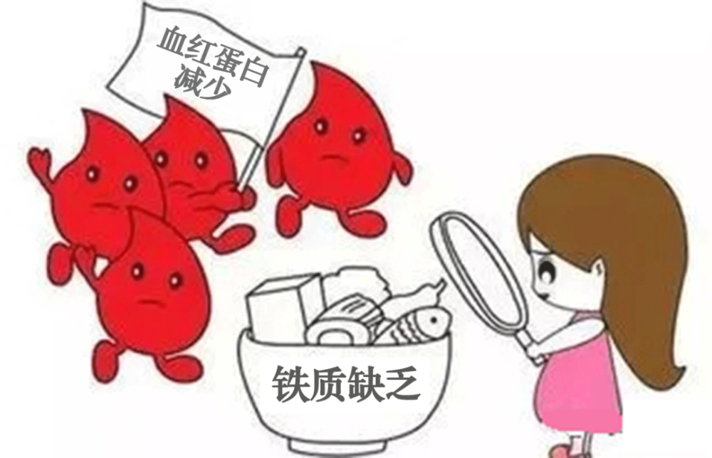 补铁药物