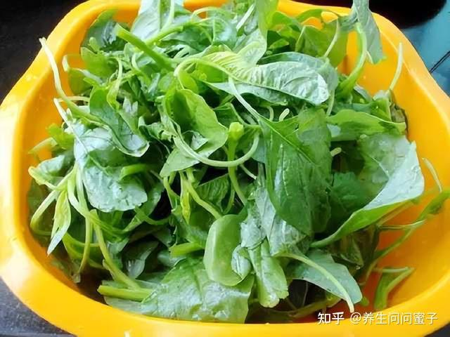 十大补钙蔬菜