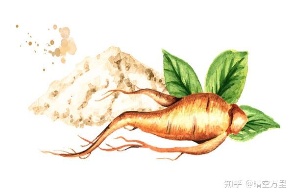 人参皂苷和硒维康