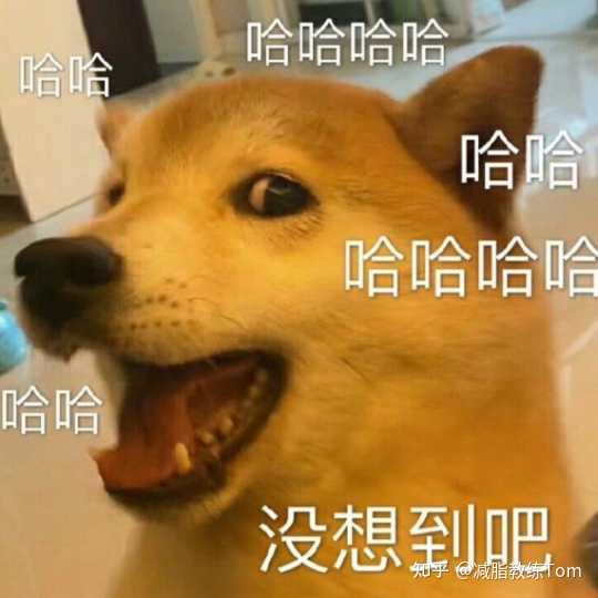 补钙最好的奶粉
