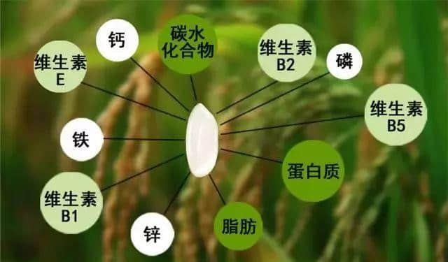 增进抗龋齿能力的最主要微量元素是