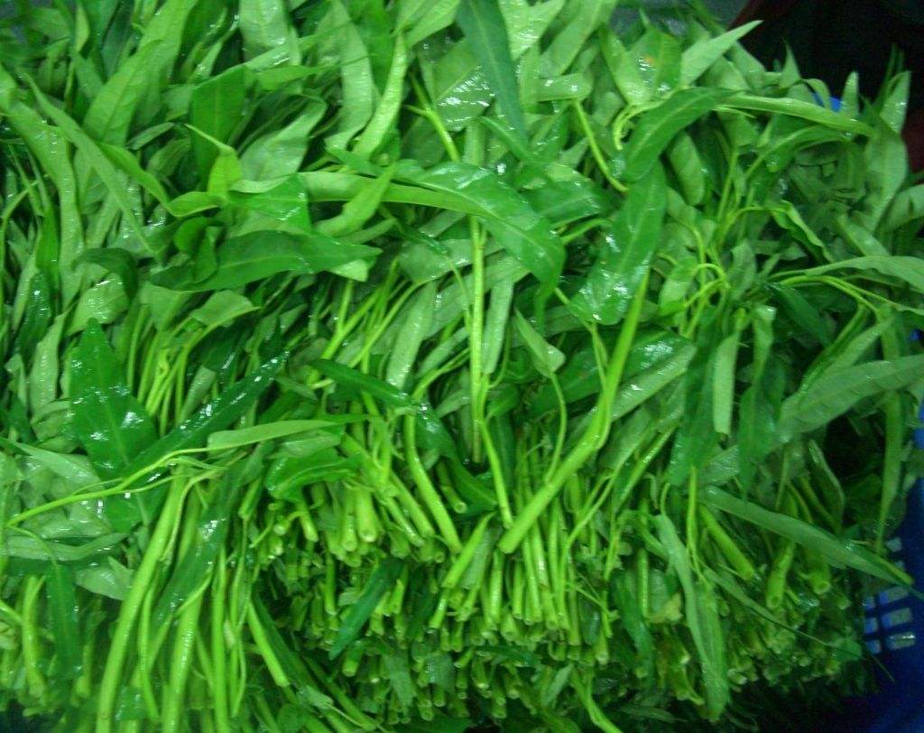 孕妇最补钙的10种食物