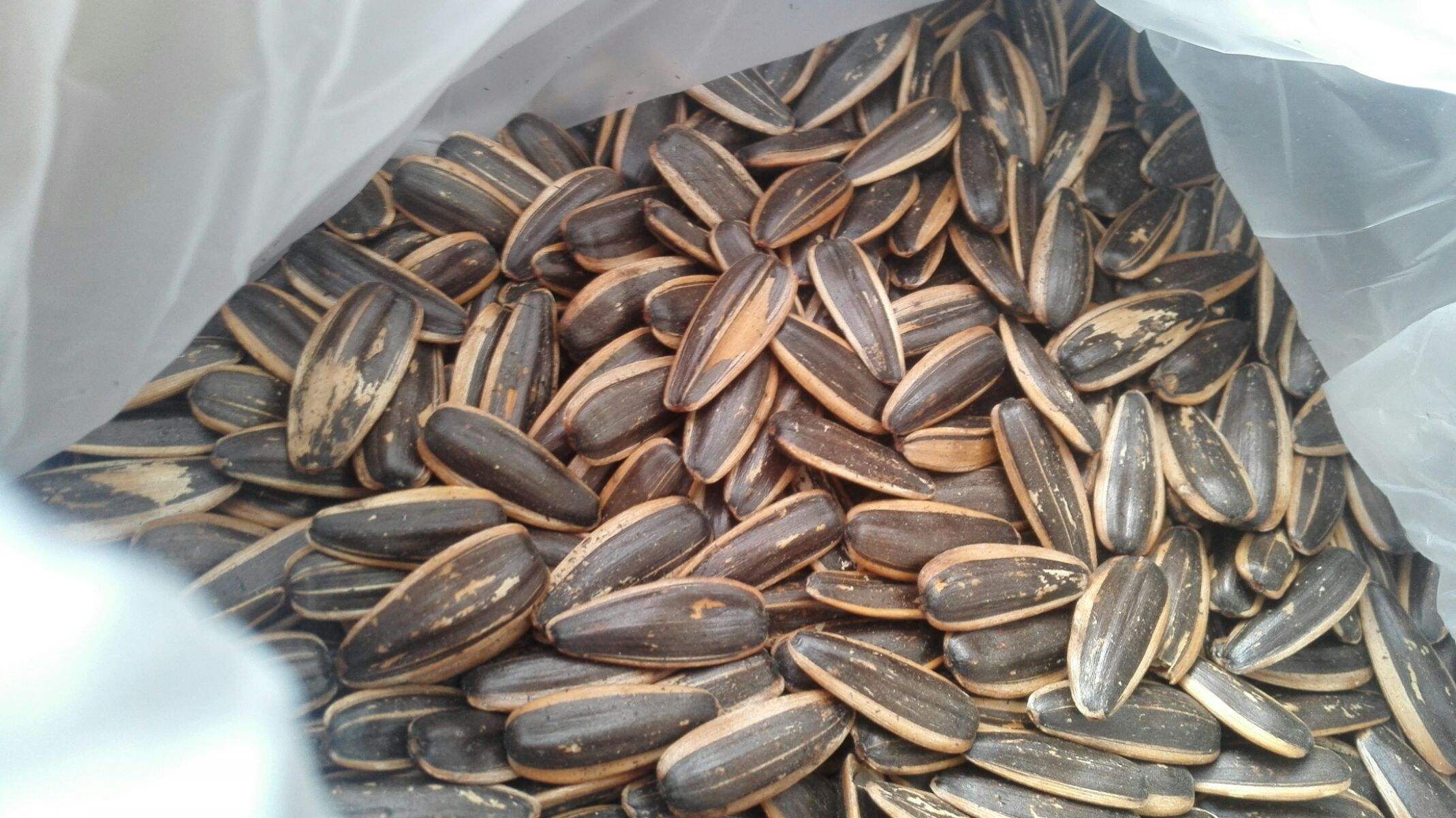 孕妇最补钙的10种食物