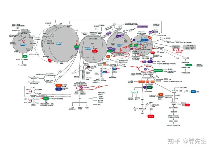 锌硒宝 儿童腹泻