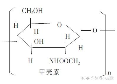 锌硒宝壳聚糖凝胶