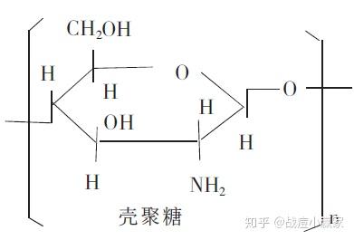 锌硒宝壳聚糖凝胶