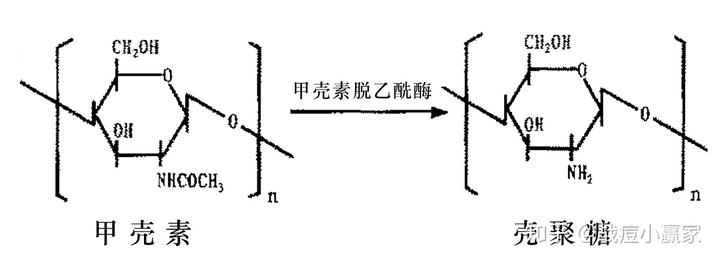 锌硒宝壳聚糖凝胶